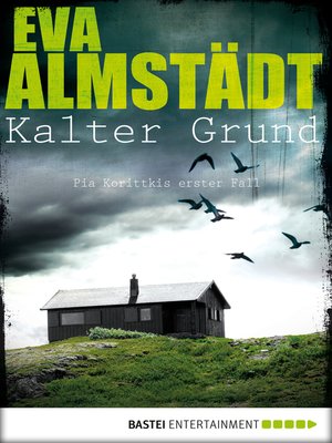 cover image of Kalter Grund